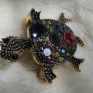 Colorful Turtle Brooch